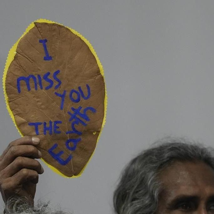 At UN climate talks, farmers argue for a share of money dedicated to fighting climate change